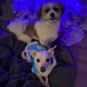 Meet your Posher, Erika joy